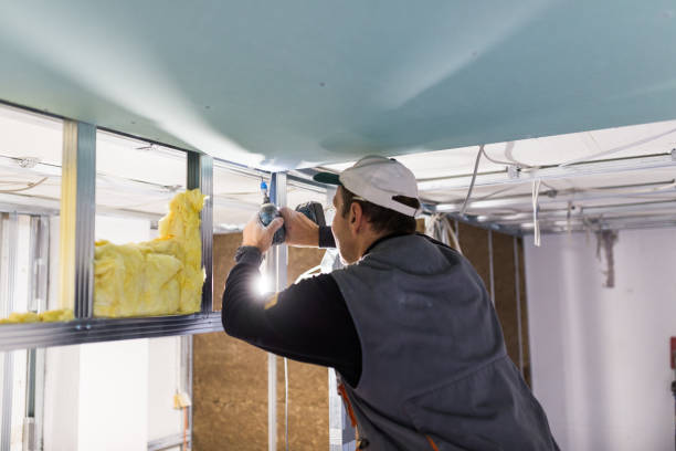 Best Spray Foam Insulation in Okawvle, IL