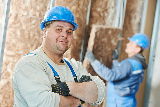 Best Specialized Insulation Services in Okawvle, IL