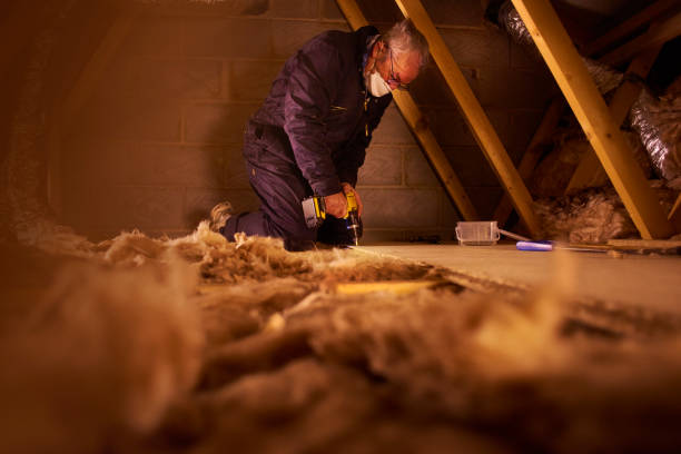 Best Geographic-Specific Insulation Services in Okawvle, IL