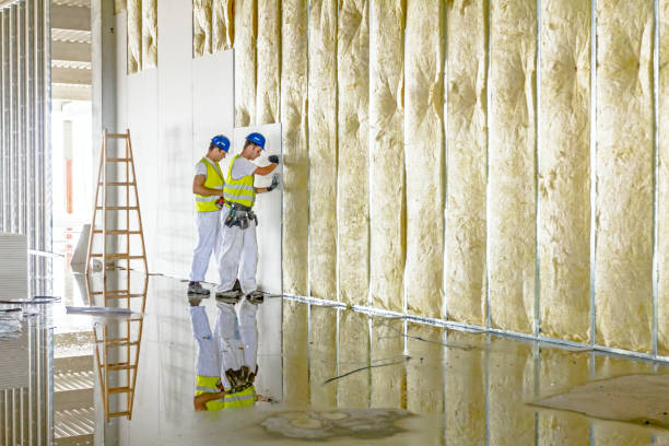 Best DIY Insulation Kits and Guidance in Okawvle, IL